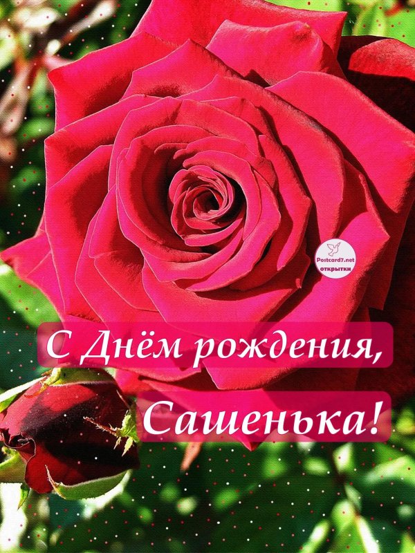 кира с днем рождения