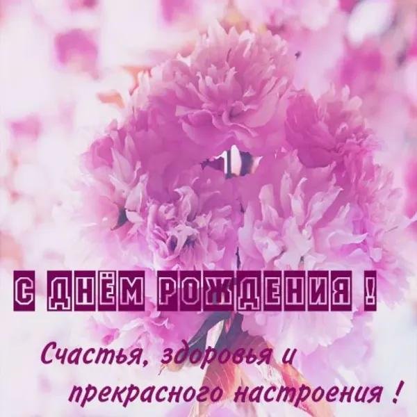 розовые цветы