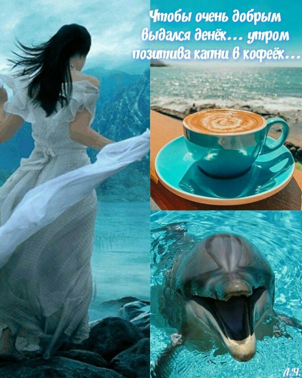 дельфинарий адлер