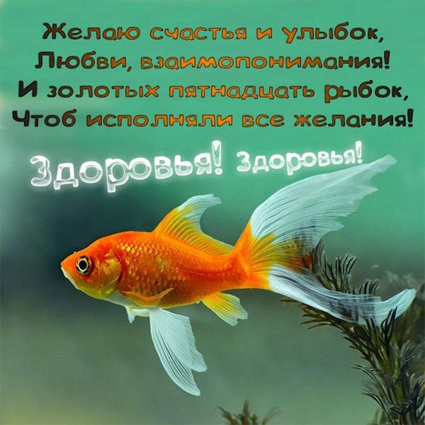 золотая рыбка исполнение желаний