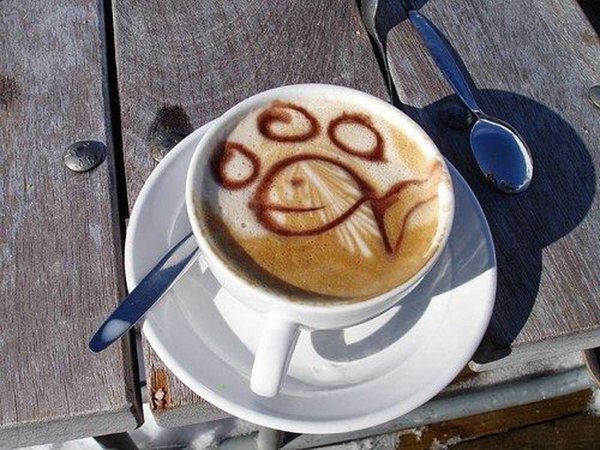 рисунки на кофейной пенке