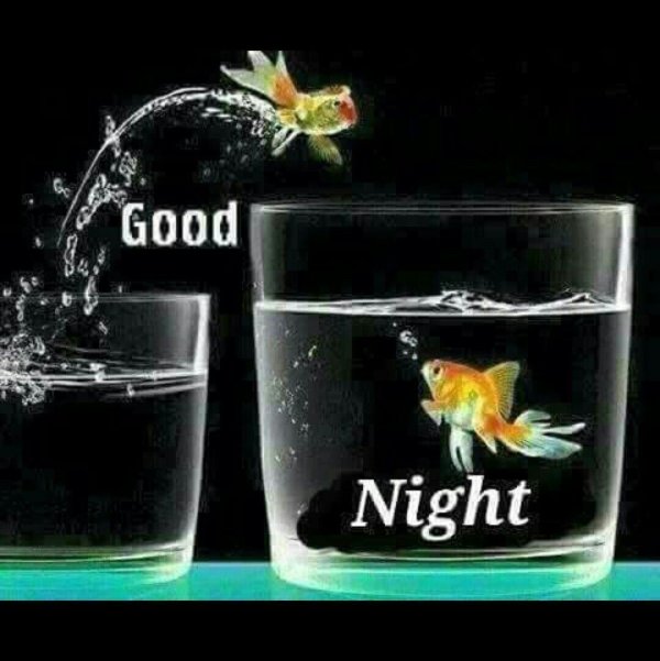 good night sweet dreams