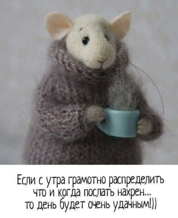 доброе утро крыса