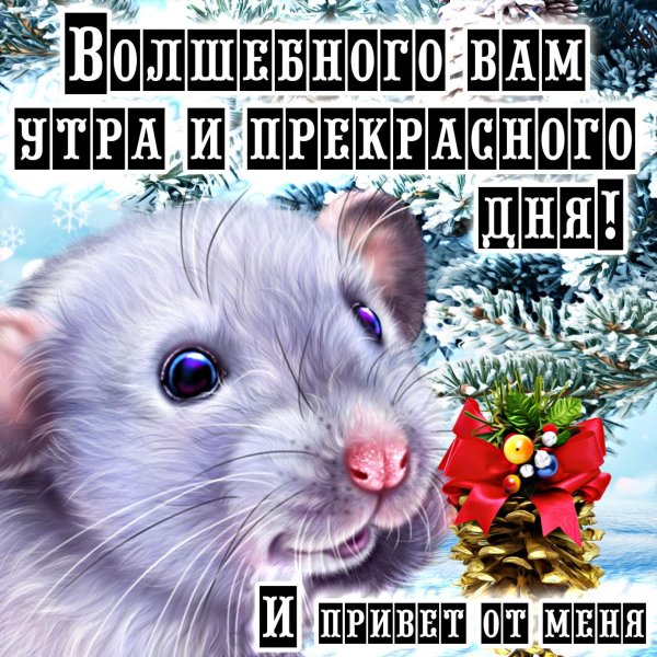 новогодние крысы