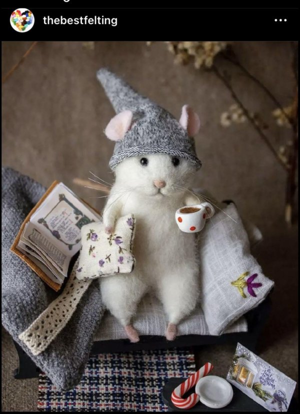 мышь отдыхает