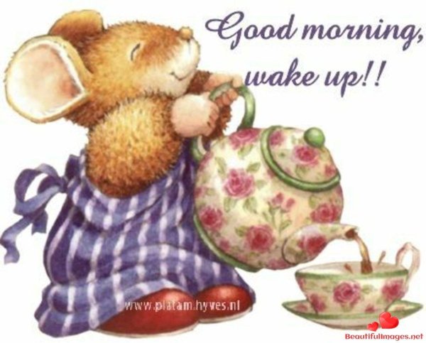 иллюстрации милые