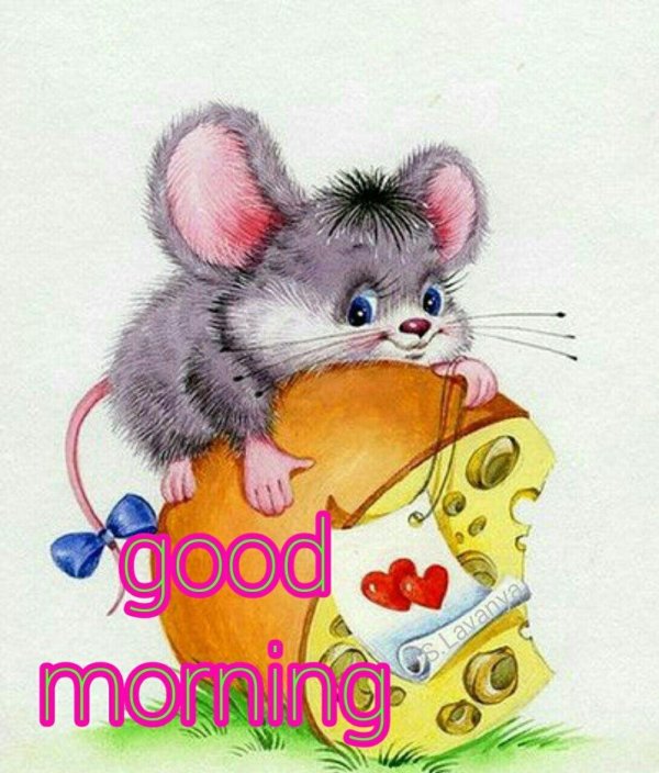 мышка очаровашка