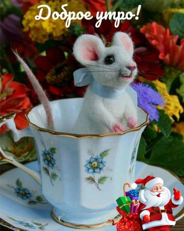 Доброе утро мышонок