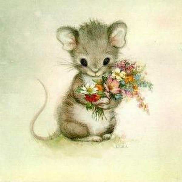 милые мышата