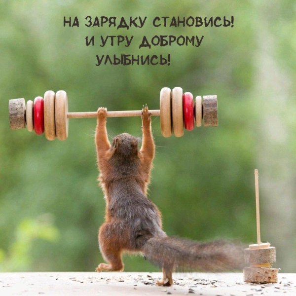 доброе утро картинки позитивные