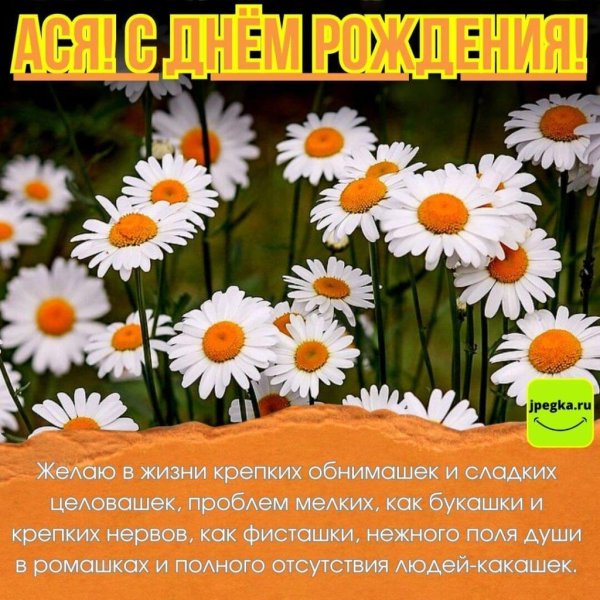 открытка с ромашками