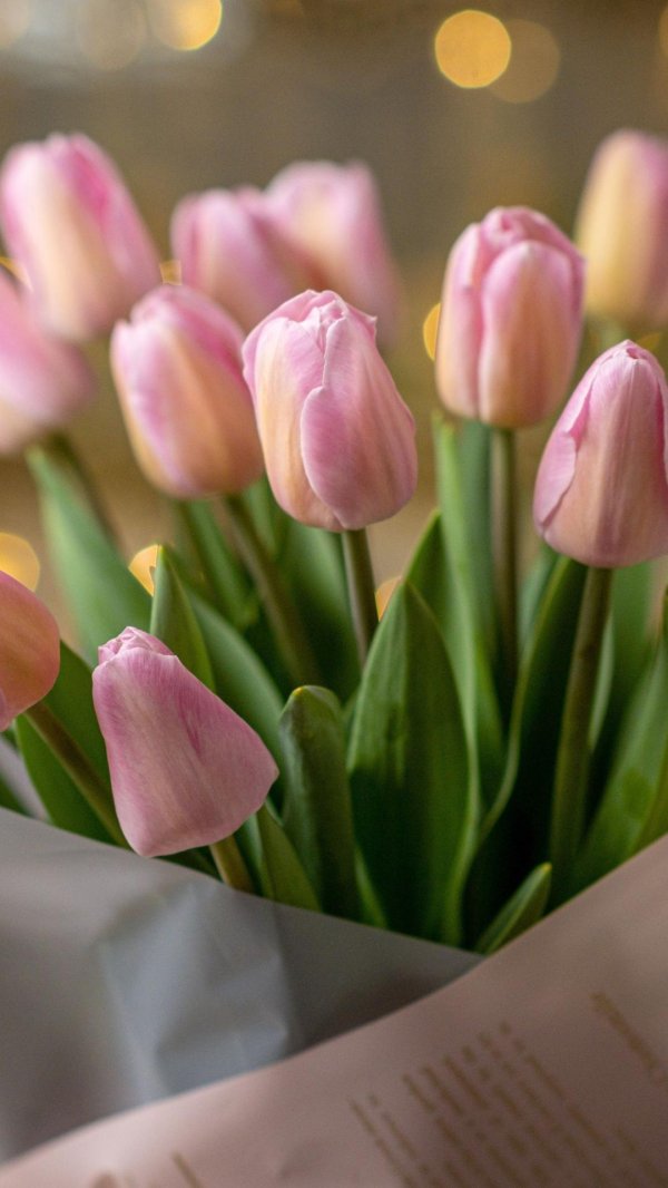 букет тюльпан