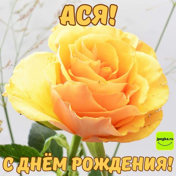 красивое поздравление с днем рождения