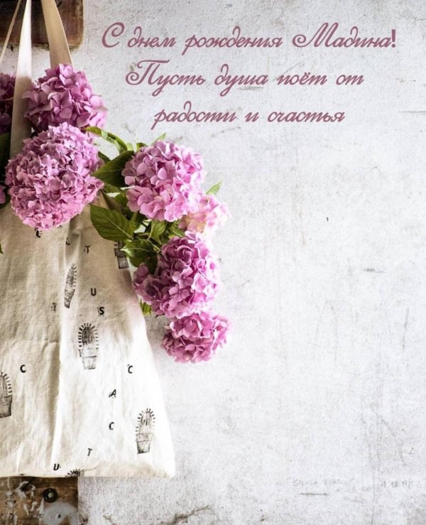 цветок гортензии