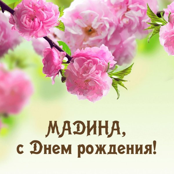 с днем рождения мадина