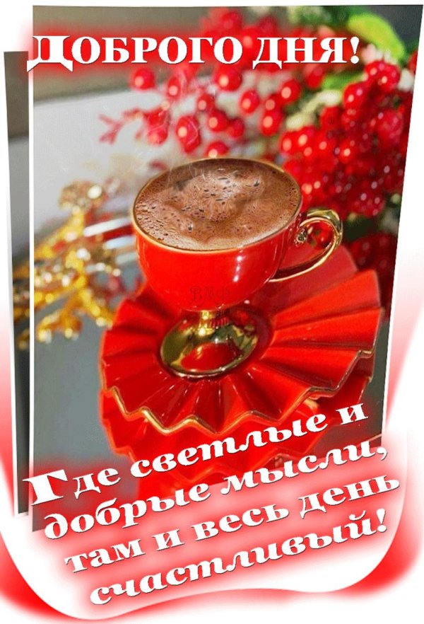 день добрый хорошего дня