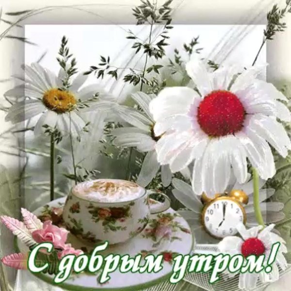 доброе летнее утро анимация