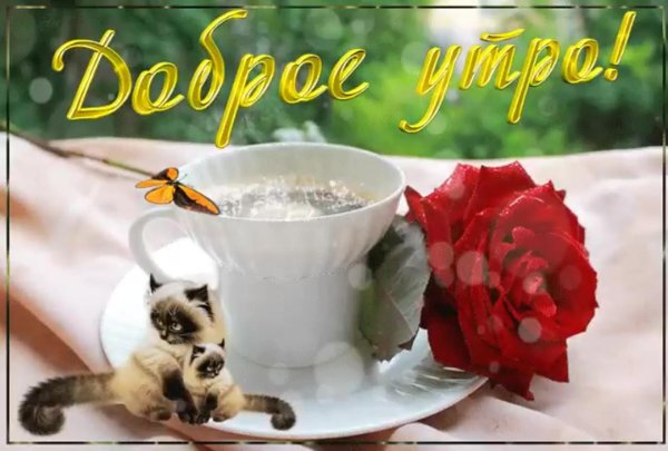 утро открытки доброе