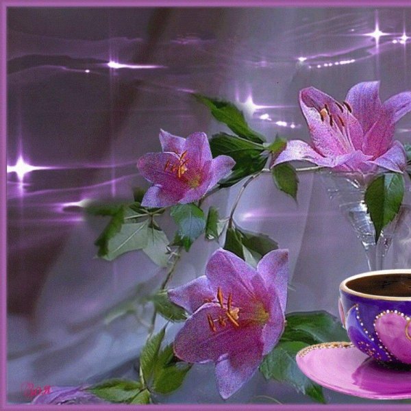 чудесного утра и прекрасного