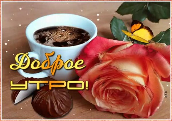 доброе утро гриф