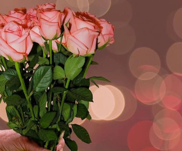 роза ангажемент