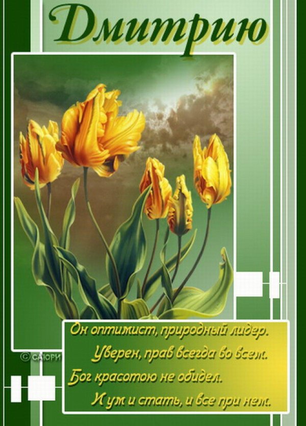 открытка поздравительная