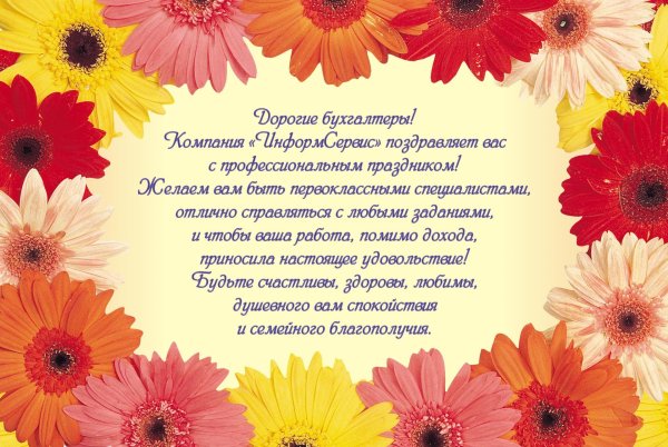 цветок гербер