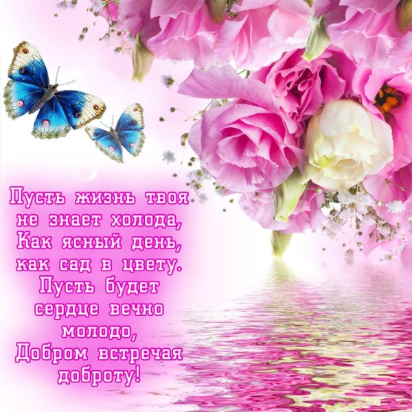 пожелания красивые