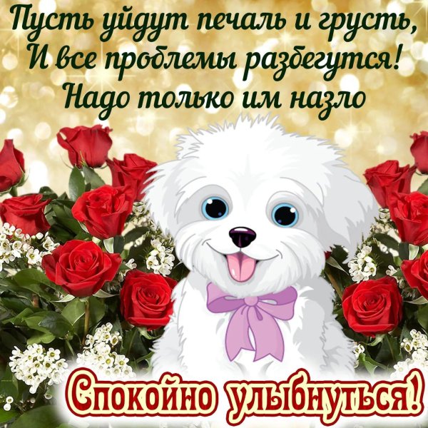 улыбнись открытка