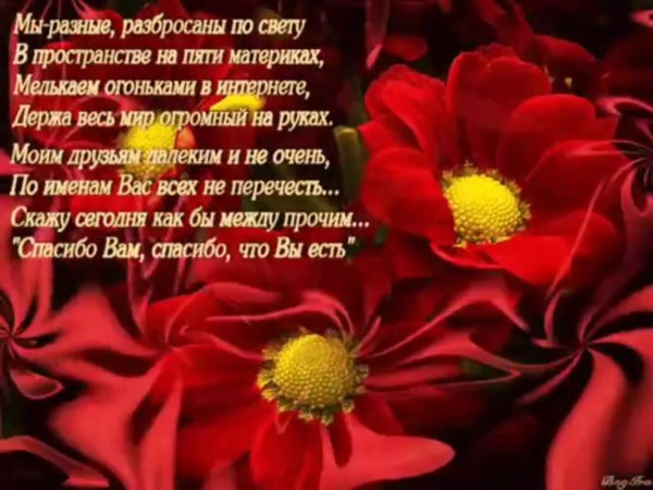 слова благодарности друзьям