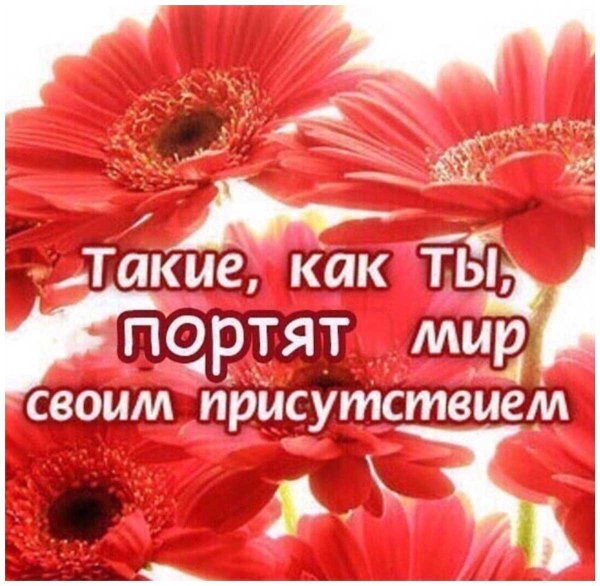 такие как ты украшают мир