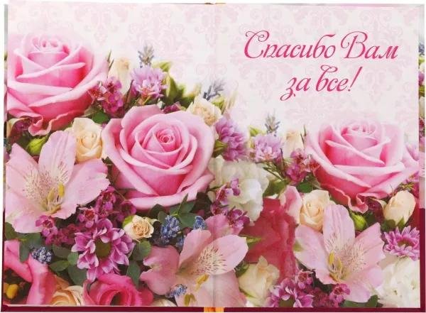 любимому учителю