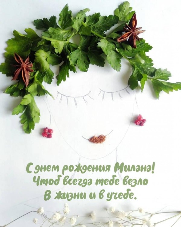 оригинальные прикольные поздравления с днем рождения милане