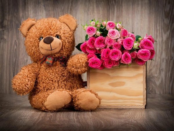 плюшевая мишка