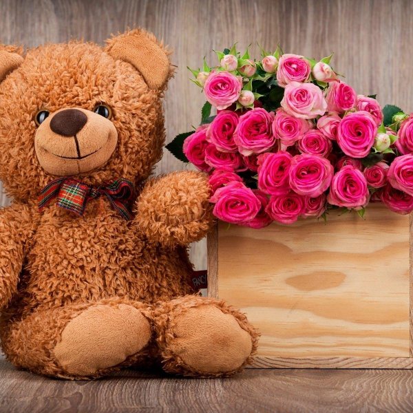 плюшевая мишка