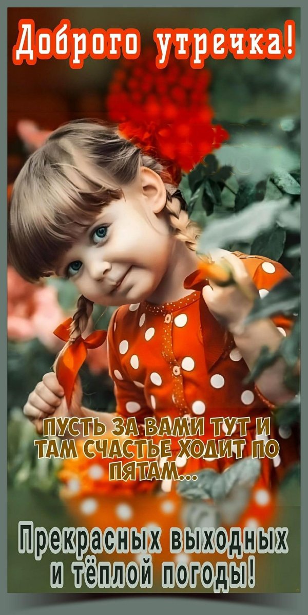 добра утра