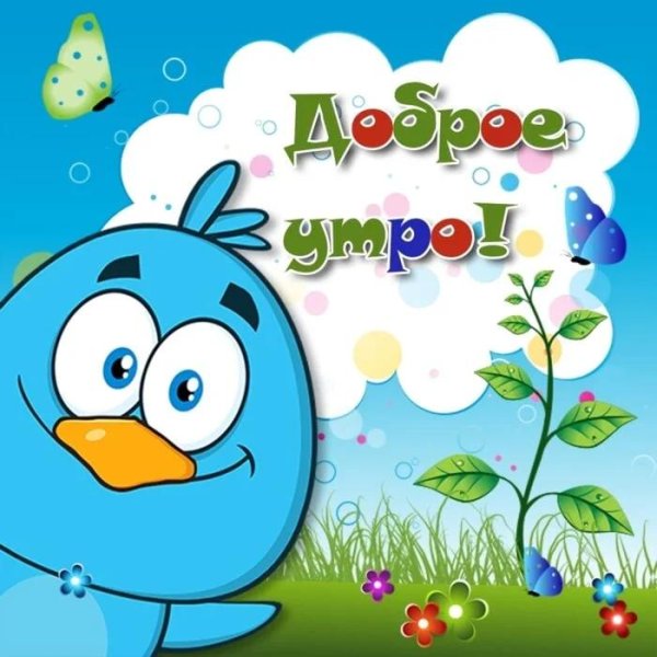 прикольные пожелания с добрым утром