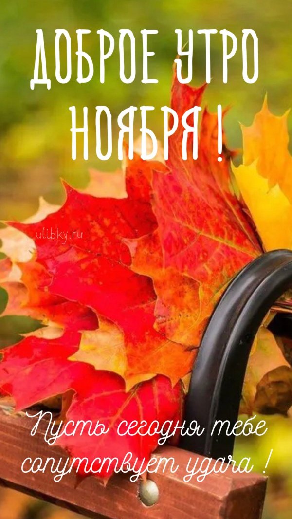 доброе осеннее утро сентября