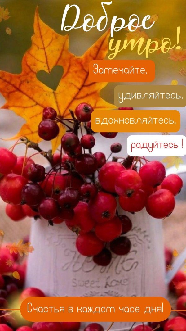 добрейшего осеннего утра