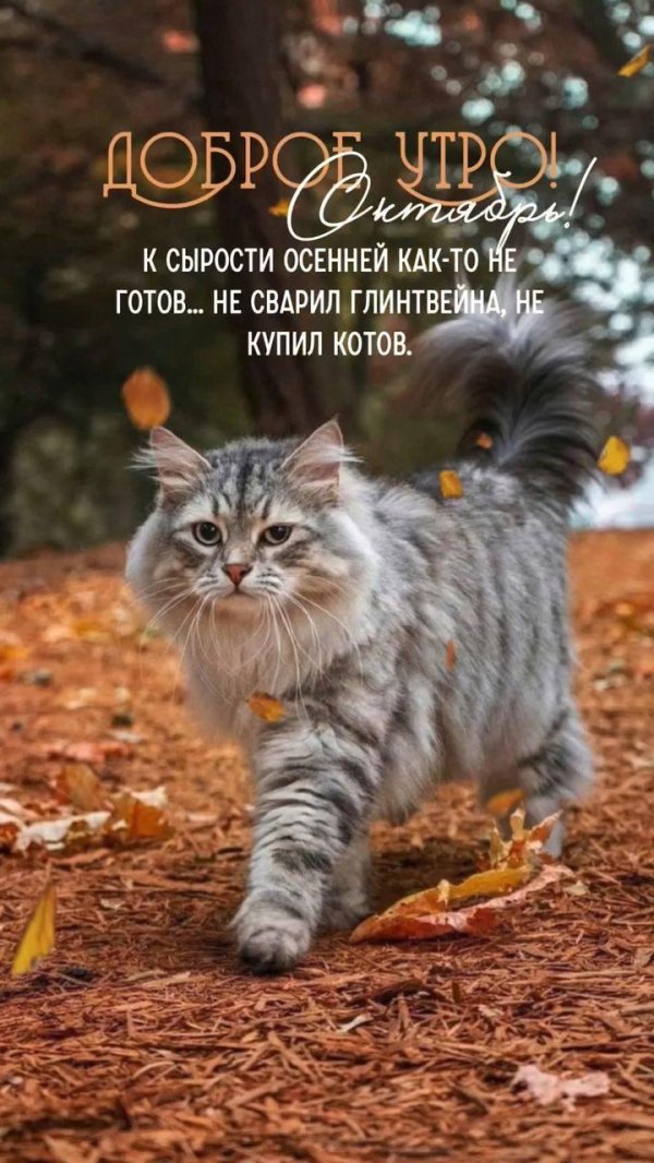 доброе утро в октябре