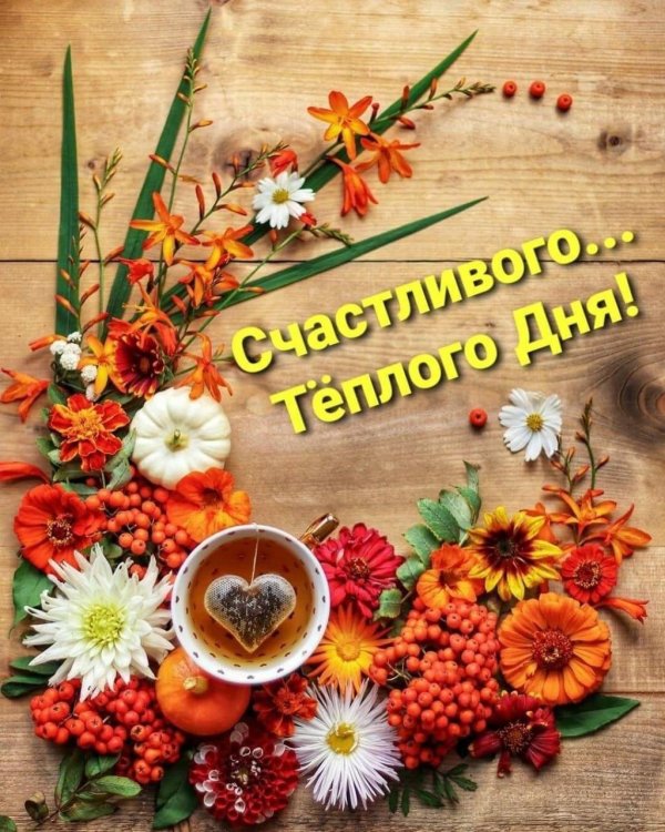 доброго утра осени