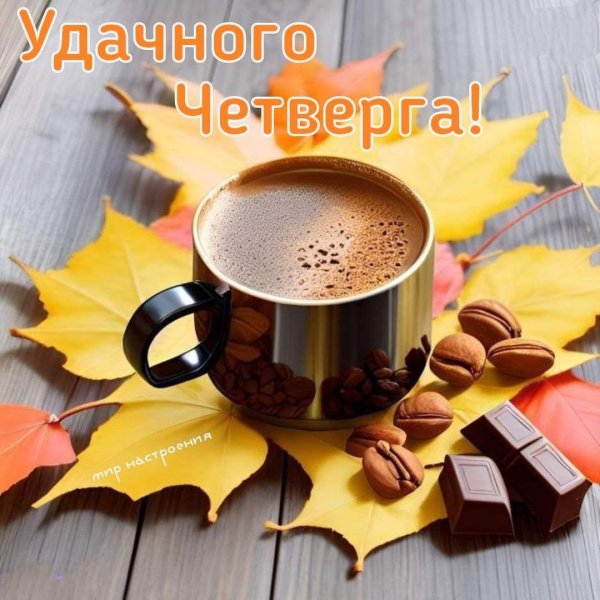 осеннее утро четверга