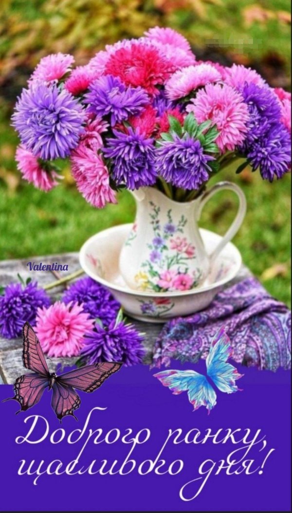 доброе утро астры