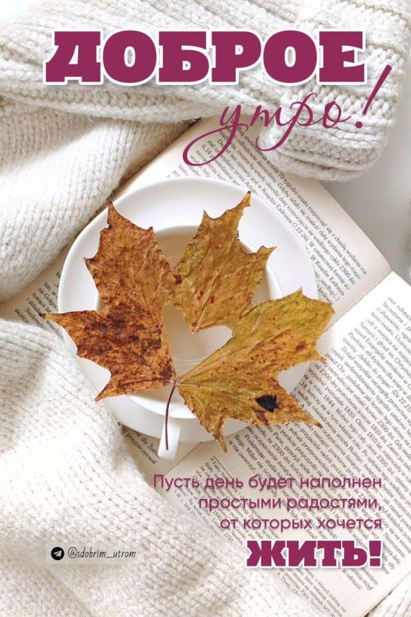 доброе субботнее осеннее утречко