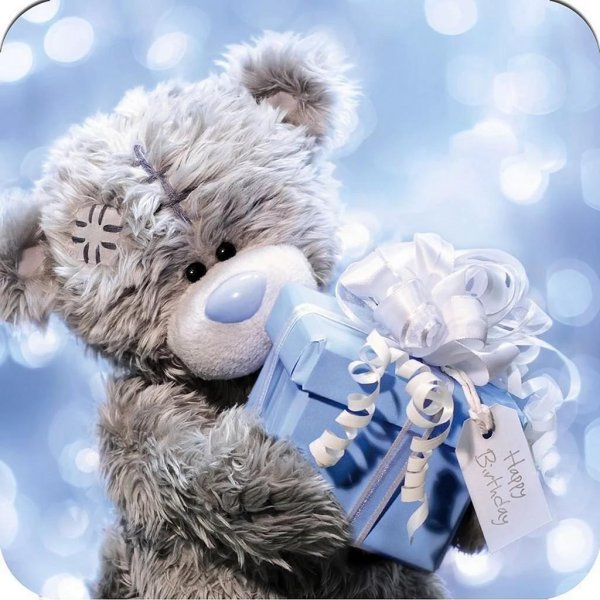 мишка тедди