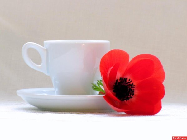 красивая чашка