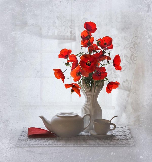 вероника бабенко фотохудожник