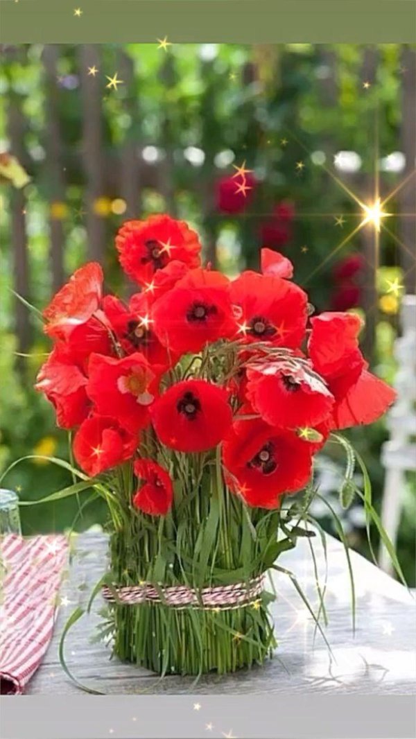 цветки мака