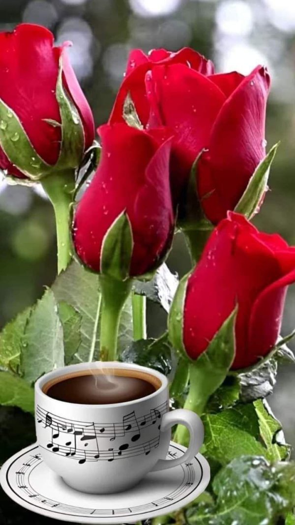 coffee with red roses