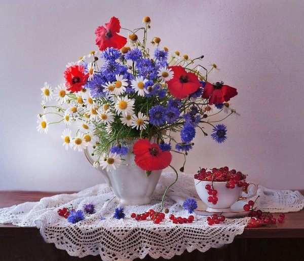 букеты полевых васильков ромашек маков